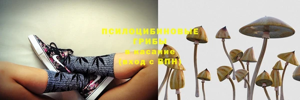 Альфа ПВП Абдулино