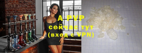 твердый Новозыбков