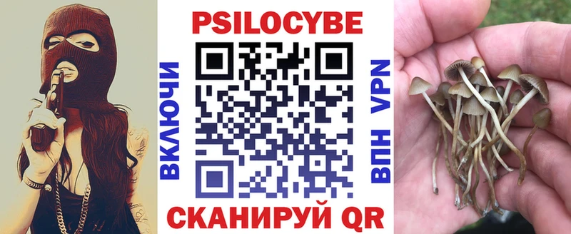 Псилоцибиновые грибы мухоморы  купить наркотик  Ухта 