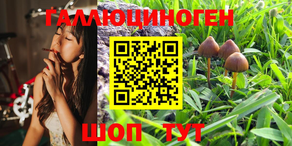 Псилоцибиновые грибы Magic Shrooms  Вход с VPN  Галлюциногенные грибы Psilocybe  Ухта 